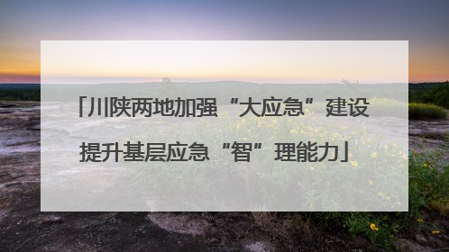 川陕两地加强“大应急”建设 提升基层应急“智”理能力