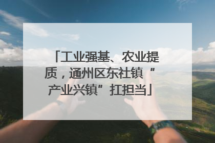 工业强基、农业提质，通州区东社镇“产业兴镇”扛担当