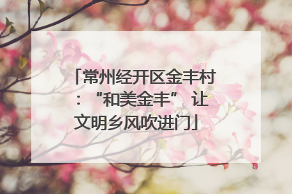 常州经开区金丰村：“和美金丰” 让文明乡风吹进门