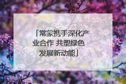 常蒙携手深化产业合作 共塑绿色发展新动能