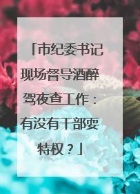 市纪委书记现场督导酒醉驾夜查工作：有没有干部耍特权？