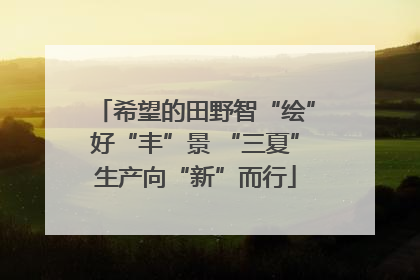 希望的田野智“绘”好“丰”景 “三夏”生产向“新”而行