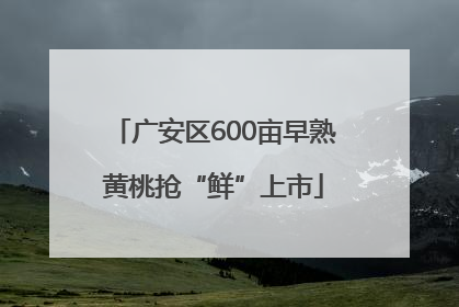 广安区600亩早熟黄桃抢“鲜”上市