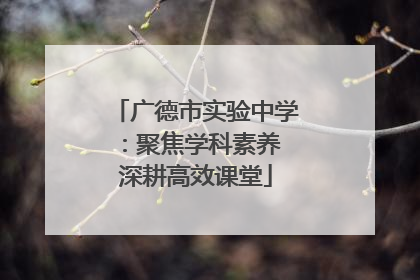 广德市实验中学：聚焦学科素养 深耕高效课堂