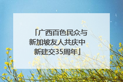 广西百色民众与新加坡友人共庆中新建交35周年