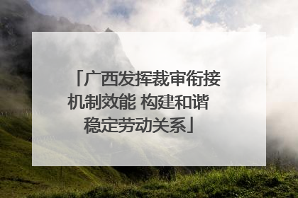 广西发挥裁审衔接机制效能 构建和谐稳定劳动关系