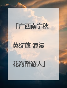 广西南宁秋英绽放 浪漫花海醉游人