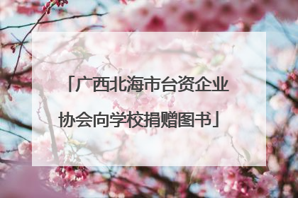 广西北海市台资企业协会向学校捐赠图书