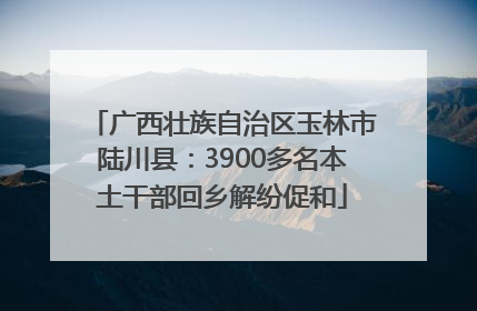 广西壮族自治区玉林市陆川县：3900多名本土干部回乡解纷促和