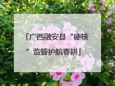 广西融安县“硬核”监管护航春耕
