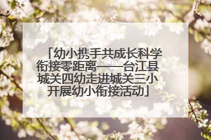 幼小携手共成长科学衔接零距离——台江县城关四幼走进城关三小开展幼小衔接活动