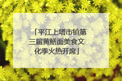平江上塔市镇第三届黄鳝面美食文化季火热开席