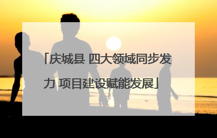 庆城县 四大领域同步发力 项目建设赋能发展
