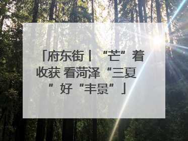 府东街丨“芒”着收获 看菏泽“三夏”好“丰景”