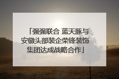 强强联合 蓝天豚与安徽头部装企荣锋装饰集团达成战略合作
