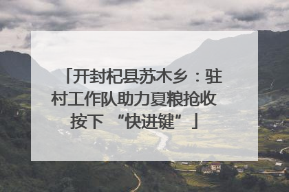开封杞县苏木乡：驻村工作队助力夏粮抢收按下 “快进键”