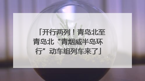 开行两列！青岛北至青岛北“青烟威半岛环行”动车组列车来了
