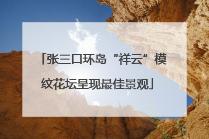 张三口环岛“祥云”模纹花坛呈现最佳景观