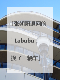 张朝阳退回的Labubu，换了一辆车