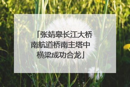 张靖皋长江大桥南航道桥南主塔中横梁成功合龙