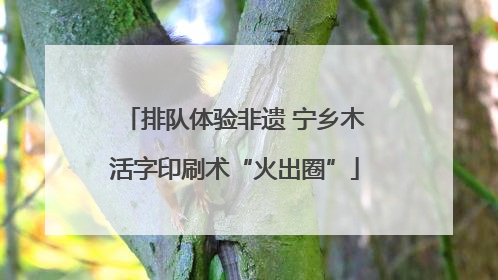 排队体验非遗 宁乡木活字印刷术“火出圈”