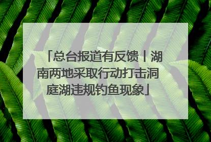 总台报道有反馈丨湖南两地采取行动打击洞庭湖违规钓鱼现象