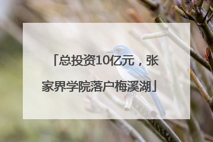 总投资10亿元，张家界学院落户梅溪湖