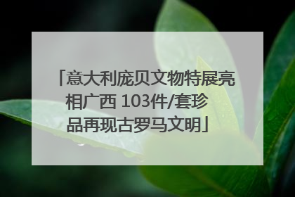 意大利庞贝文物特展亮相广西 103件/套珍品再现古罗马文明
