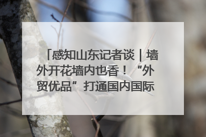 感知山东记者谈｜墙外开花墙内也香！“外贸优品”打通国内国际市场“旋转门”
