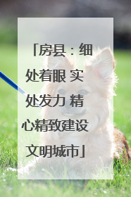 房县：细处着眼 实处发力 精心精致建设文明城市