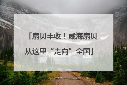 扇贝丰收！威海扇贝从这里“走向”全国
