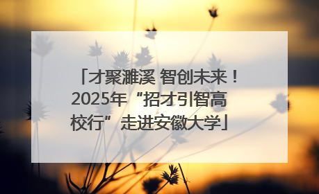 才聚濉溪 智创未来！2025年“招才引智高校行”走进安徽大学