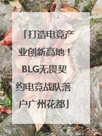 打造电竞产业创新高地！BLG无畏契约电竞战队落户广州花都