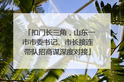 扣门长三角，山东一市市委书记、市长接连带队招商谋深度对接