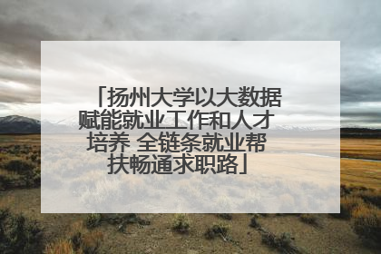 扬州大学以大数据赋能就业工作和人才培养 全链条就业帮扶畅通求职路