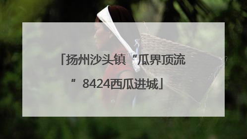 扬州沙头镇“瓜界顶流”8424西瓜进城