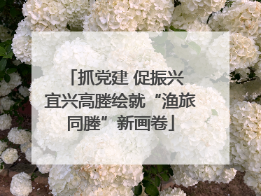抓党建 促振兴 宜兴高塍绘就“渔旅同塍”新画卷