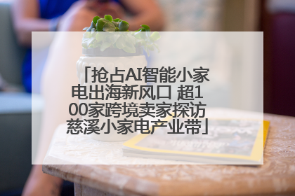 抢占AI智能小家电出海新风口 超100家跨境卖家探访慈溪小家电产业带
