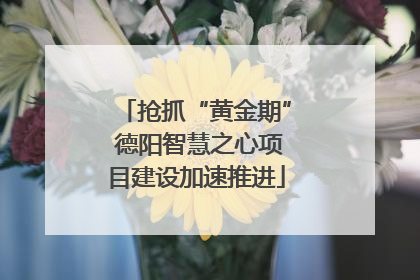 抢抓“黄金期” 德阳智慧之心项目建设加速推进
