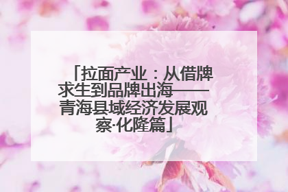 拉面产业：从借牌求生到品牌出海——青海县域经济发展观察·化隆篇