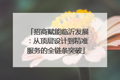 招商赋能临沂发展：从顶层设计到精准服务的全链条突破