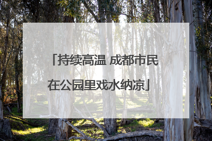 持续高温 成都市民在公园里戏水纳凉