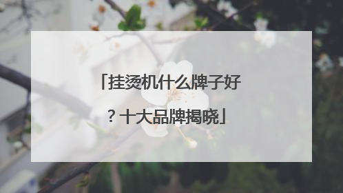 挂烫机什么牌子好？十大品牌揭晓