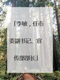 李敏，任市委副书记、宣传部部长