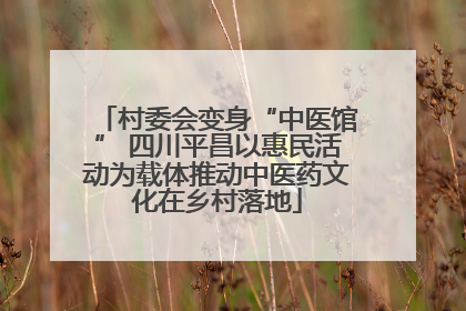 村委会变身“中医馆” 四川平昌以惠民活动为载体推动中医药文化在乡村落地