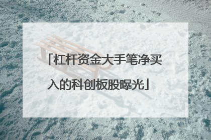杠杆资金大手笔净买入的科创板股曝光
