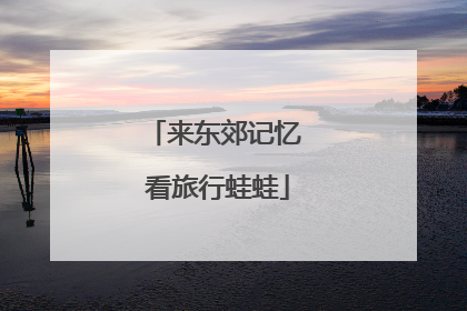 来东郊记忆 看旅行蛙蛙