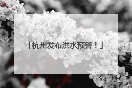 杭州发布洪水预警！