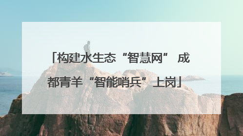构建水生态“智慧网” 成都青羊“智能哨兵”上岗