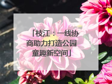 枝江：一线协商助力打造公园童趣新空间